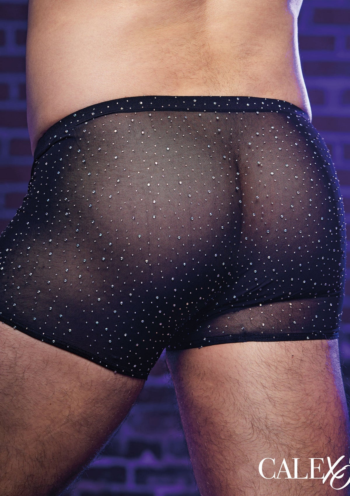 Radiance Boxer Briefs