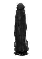 Hidden Desire Dong 32 cm - Dildo