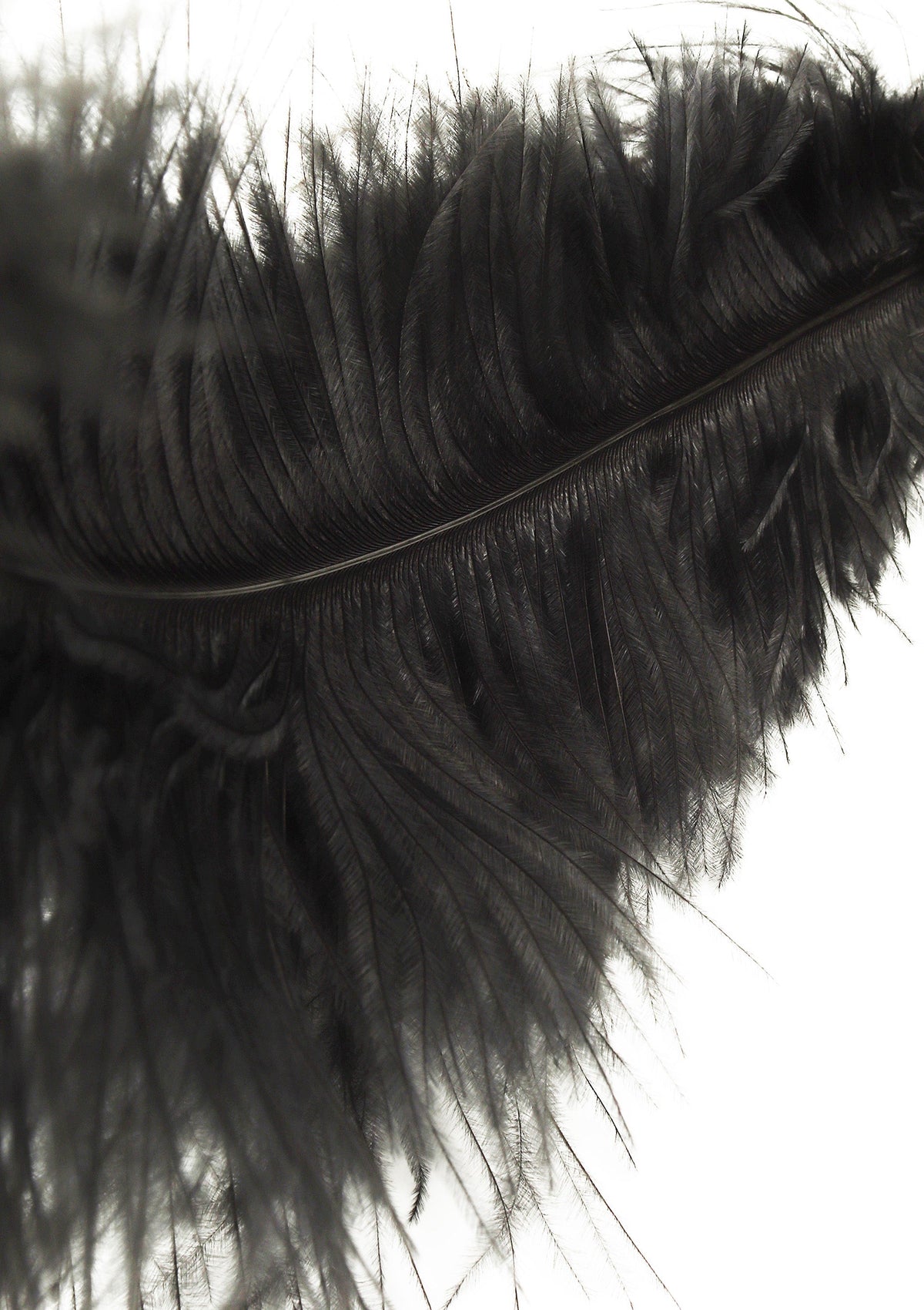 Hidden Desire Double Feather Tickler - Flogger