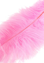 Hidden Desire Double Feather Tickler - Flogger