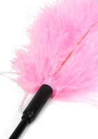 Hidden Desire Double Feather Tickler - Flogger