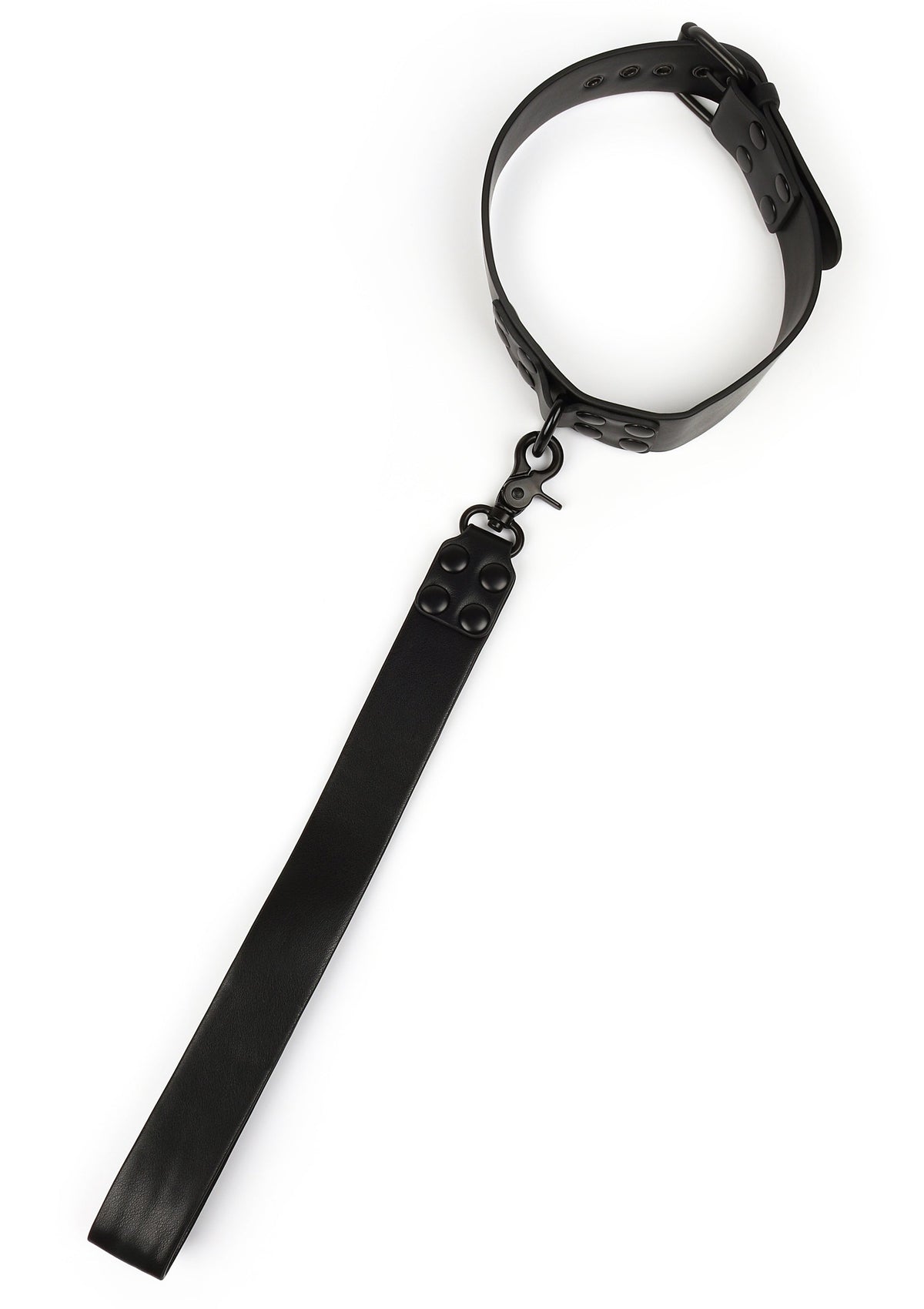 Avanza Signature Collar & Short Leash - Collar & Leash