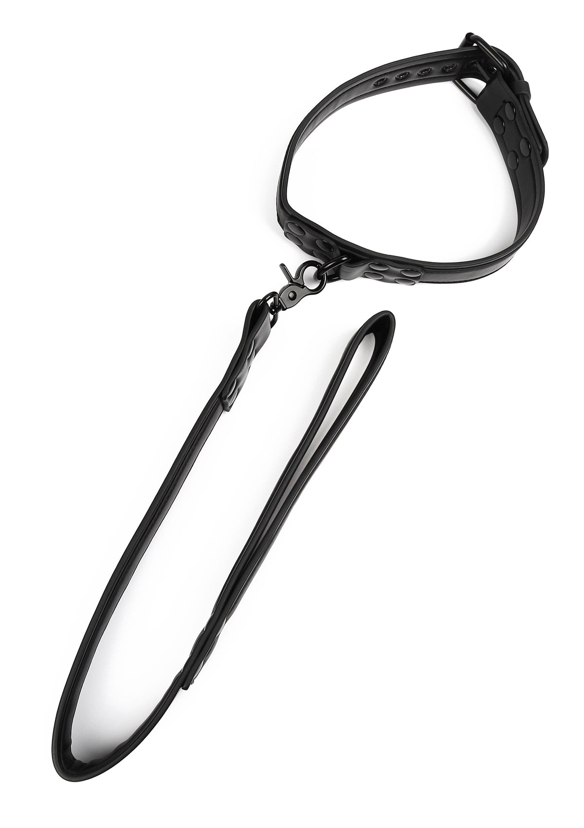 Avanza Signature Collar & Leash - Collar & Leash