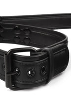 Avanza Signature Collar & Leash - Collar & Leash
