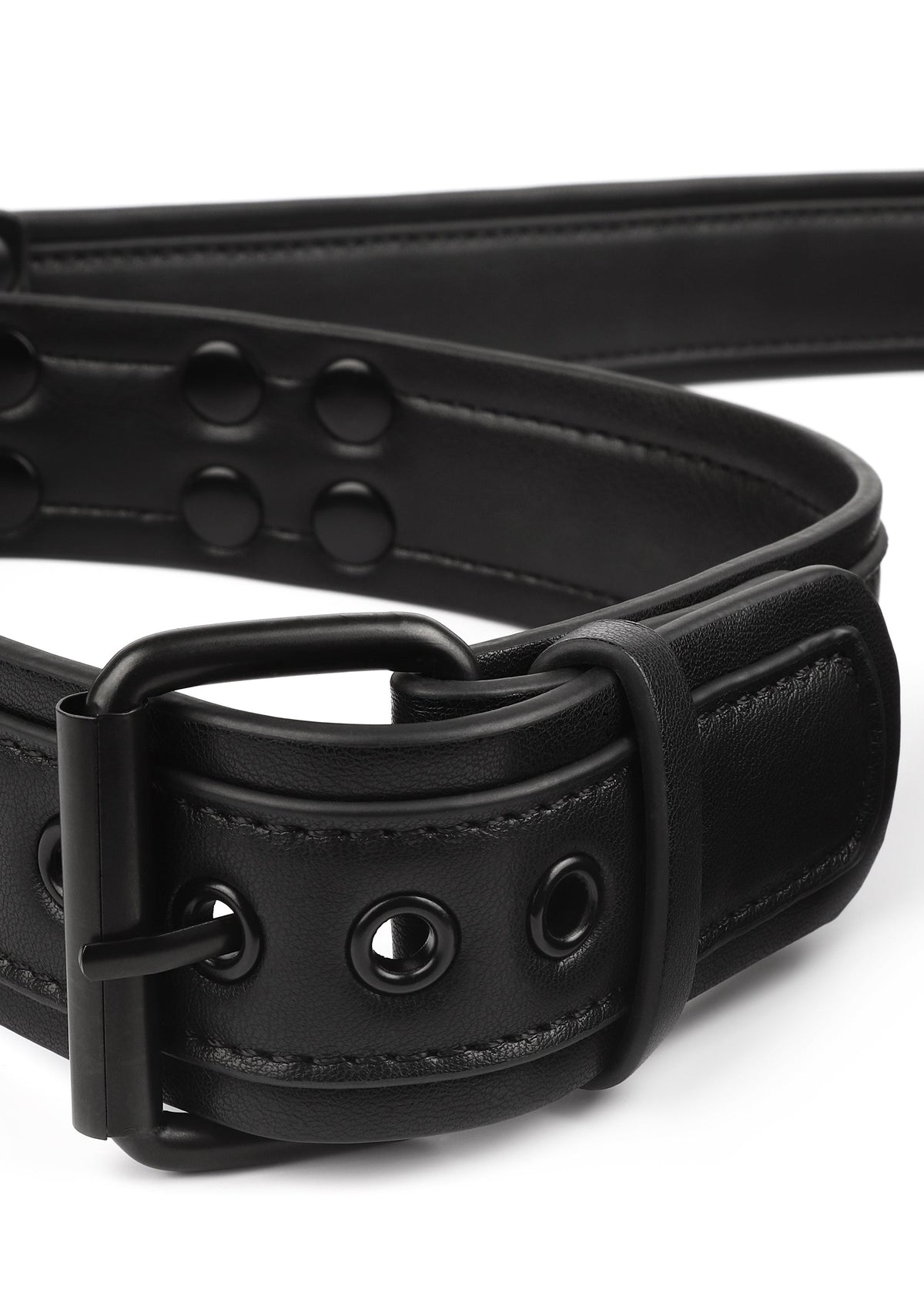 Avanza Signature Collar & Leash - Collar & Leash