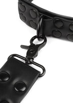 Avanza Signature Collar & Leash - Collar & Leash