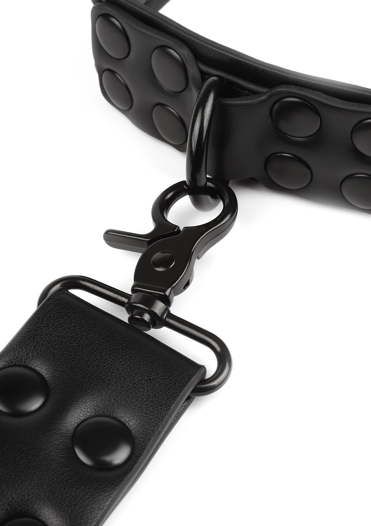Avanza Signature Collar & Leash - Collar & Leash