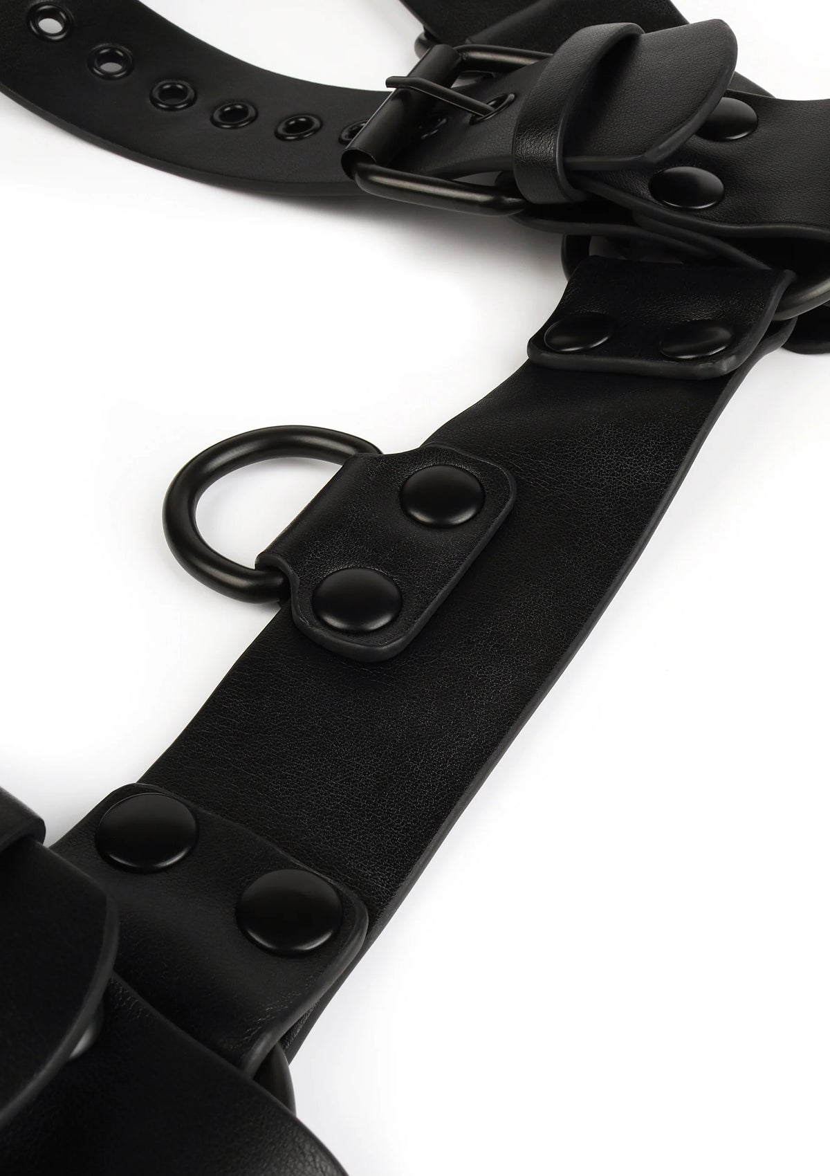 Core Body Harness - Harness