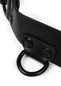 Avanza Core Body Harness - Harness