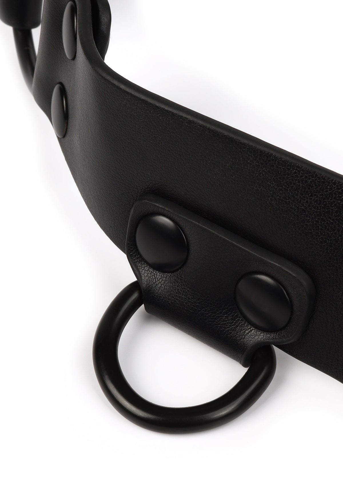 Avanza Core Body Harness - Harness