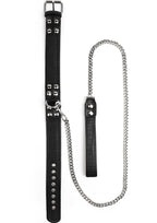 Avanza Croc-Embossed Collar & Leash - Collar & Leash