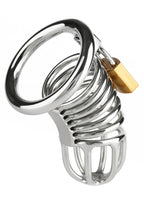 Mr. Steel Ring Master Chastity Device - Cock Cage